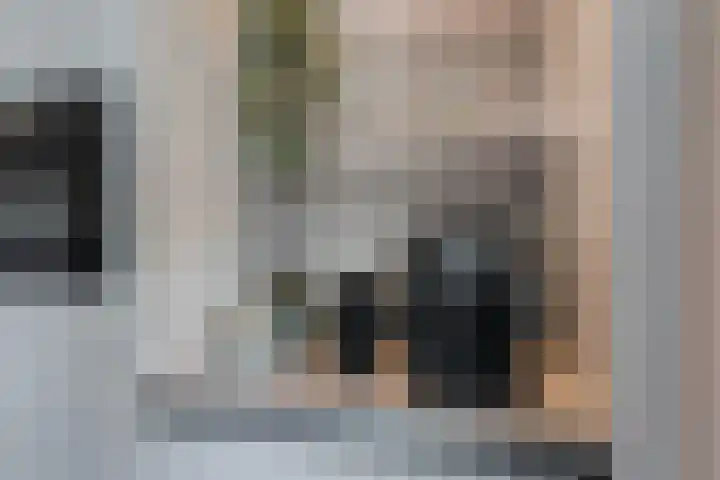 Frankhuizerallee 408 Zwolle thumbnail 12