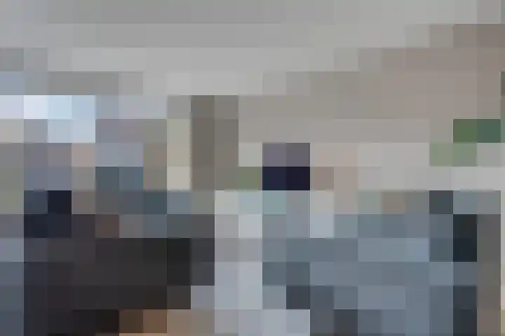 Frankhuizerallee 408 Zwolle thumbnail 17