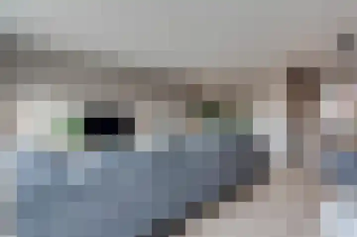 Frankhuizerallee 408 Zwolle thumbnail 20