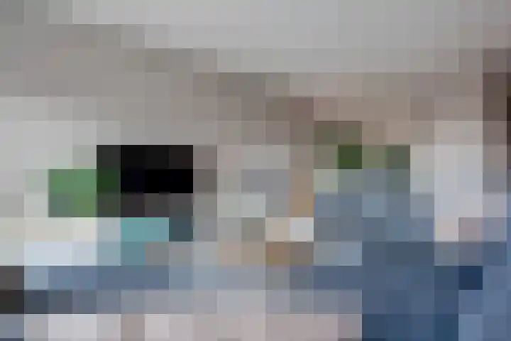 Frankhuizerallee 408 Zwolle thumbnail 21