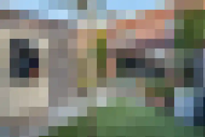 Frankhuizerallee 408 Zwolle thumbnail 26