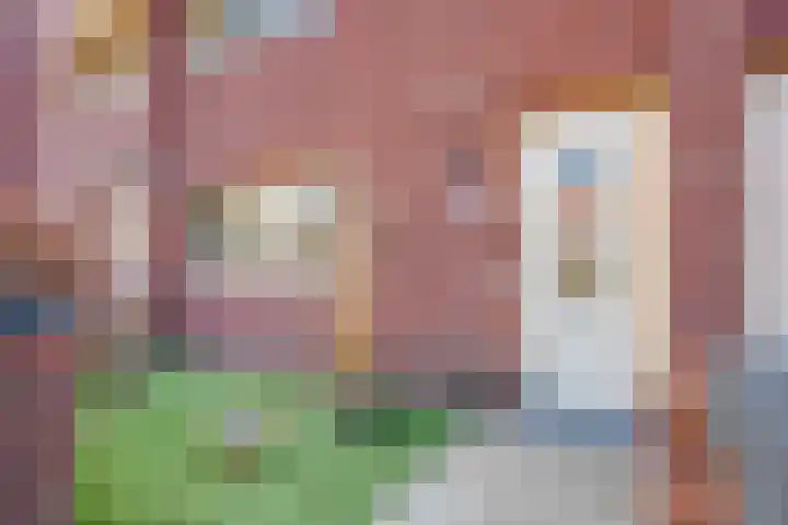 Frankhuizerallee 408 Zwolle thumbnail 4