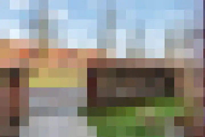 Frankhuizerallee 408 Zwolle thumbnail 5
