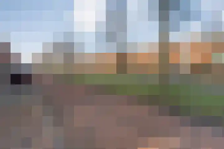Frankhuizerallee 414 Zwolle thumbnail 10