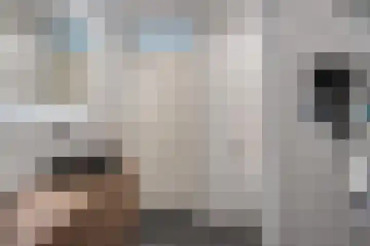 Frankhuizerallee 414 Zwolle thumbnail 34
