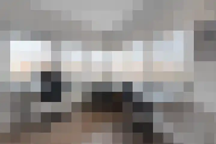 Frankhuizerallee 414 Zwolle thumbnail 45