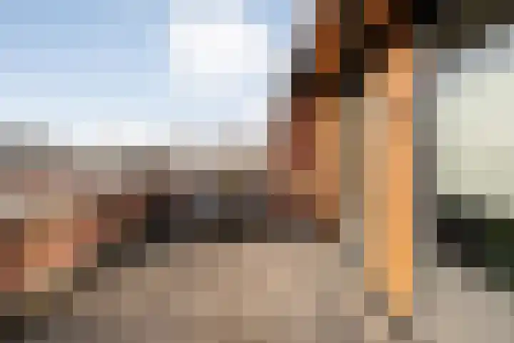 Frankhuizerallee 414 Zwolle thumbnail 46