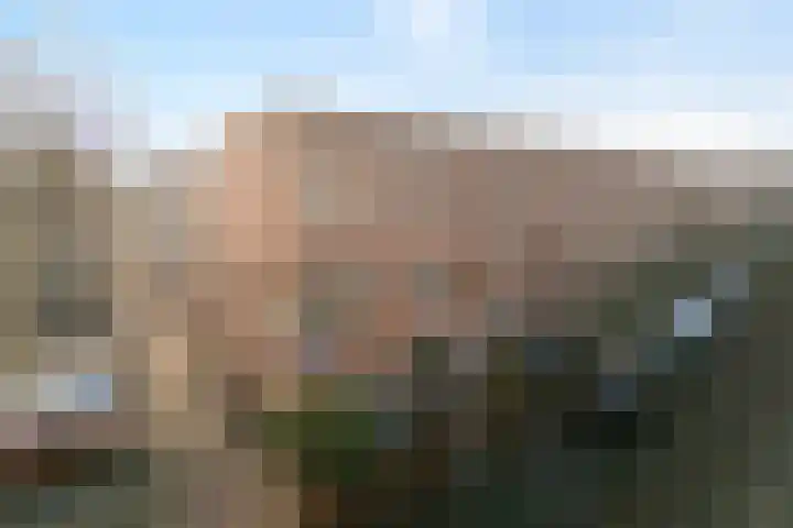 Frankhuizerallee 414 Zwolle thumbnail 5