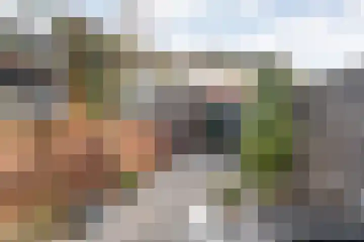 Frankhuizerallee 414 Zwolle thumbnail 57