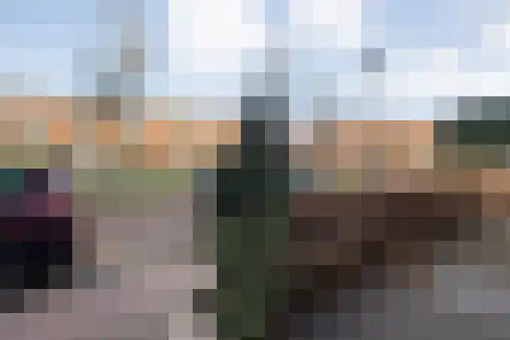Frankhuizerallee 414 Zwolle thumbnail 58