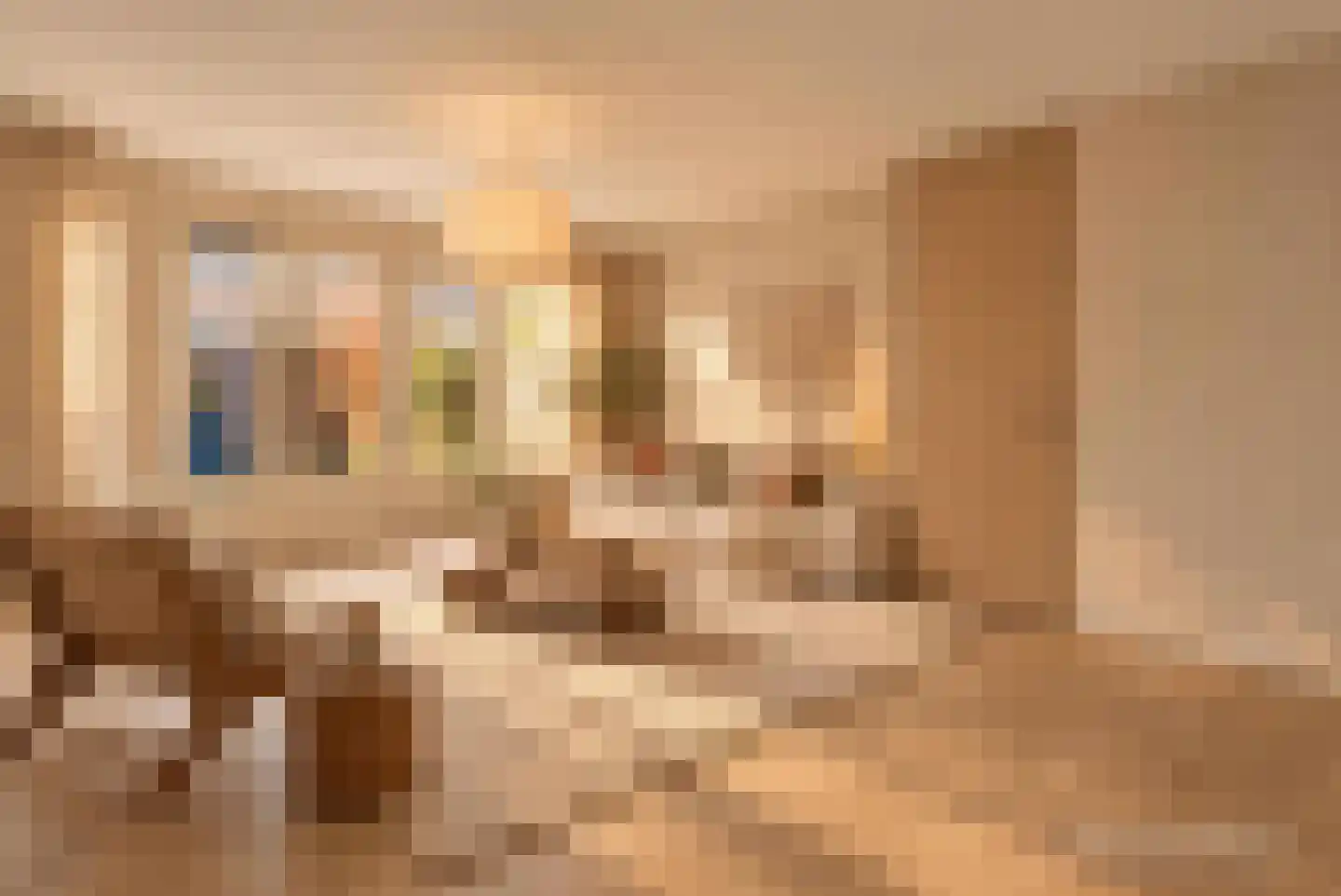 Frankhuizerallee 452 Zwolle thumbnail 11