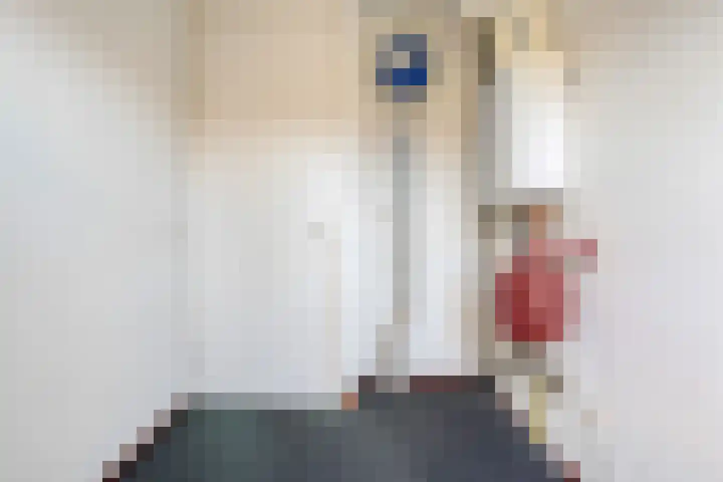 Frankhuizerallee 452 Zwolle thumbnail 32