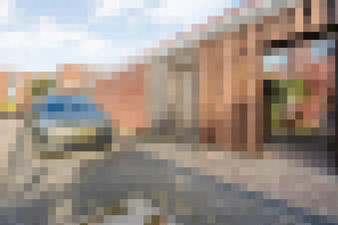 Frankhuizerallee 452 Zwolle thumbnail 44
