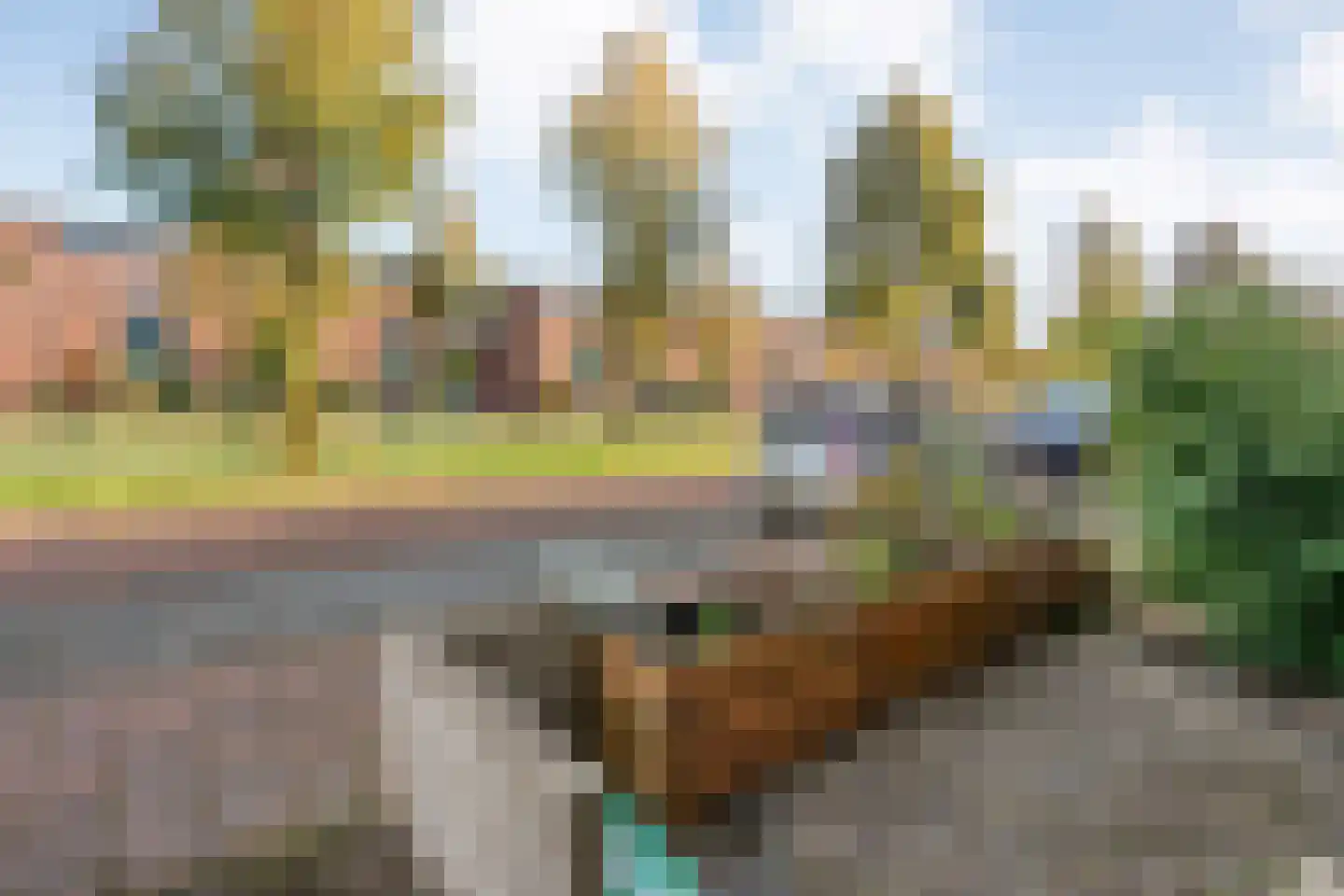 Frankhuizerallee 452 Zwolle thumbnail 5