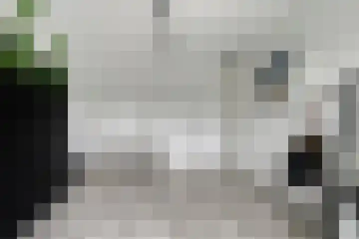 Frankhuizerallee 5 Zwolle thumbnail 16