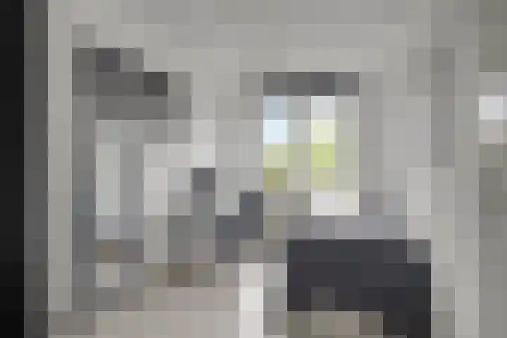 Frankhuizerallee 5 Zwolle thumbnail 17