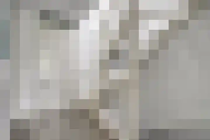 Frankhuizerallee 5 Zwolle thumbnail 22