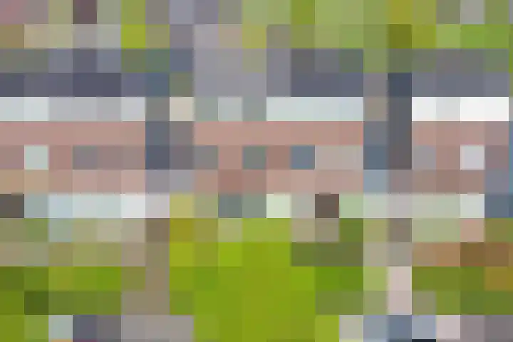 Frankhuizerallee 5 Zwolle thumbnail 39
