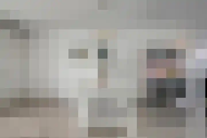 Frankhuizerallee 5 Zwolle thumbnail 4