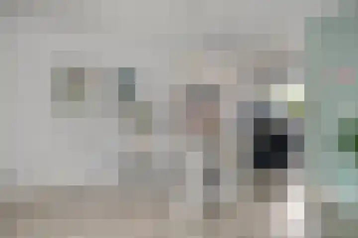 Frankhuizerallee 5 Zwolle thumbnail 5