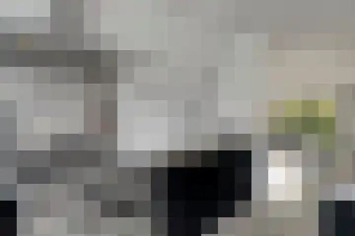 Frankhuizerallee 5 Zwolle thumbnail 7