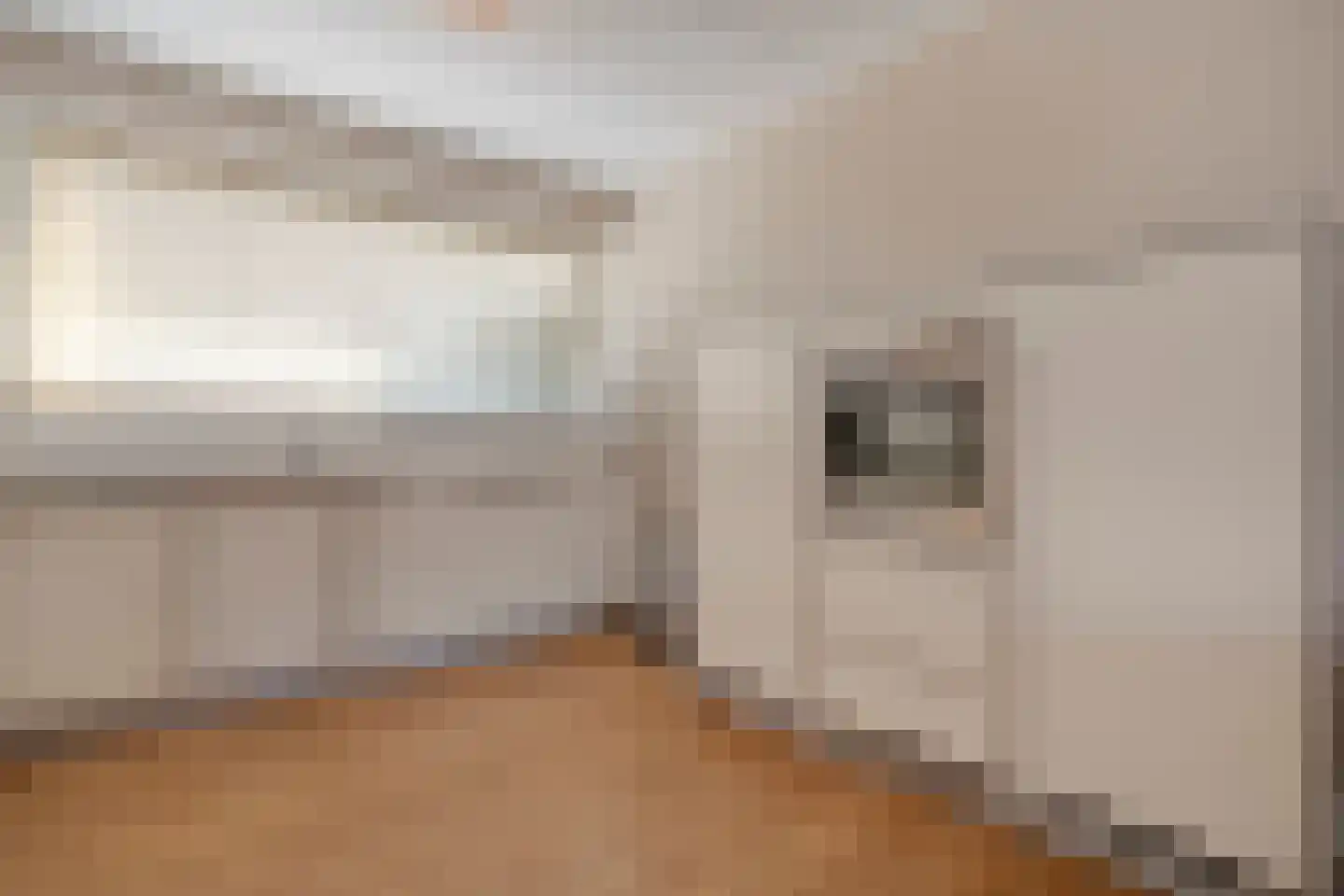 Frankhuizerallee 7 Zwolle thumbnail 13