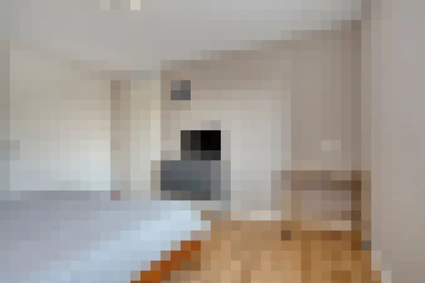 Frankhuizerallee 7 Zwolle thumbnail 19