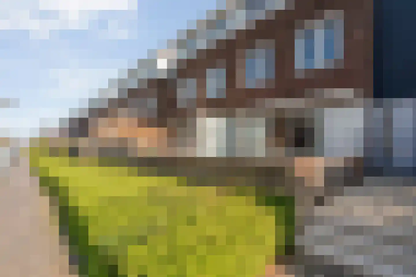 Frankhuizerallee 7 Zwolle foto 3