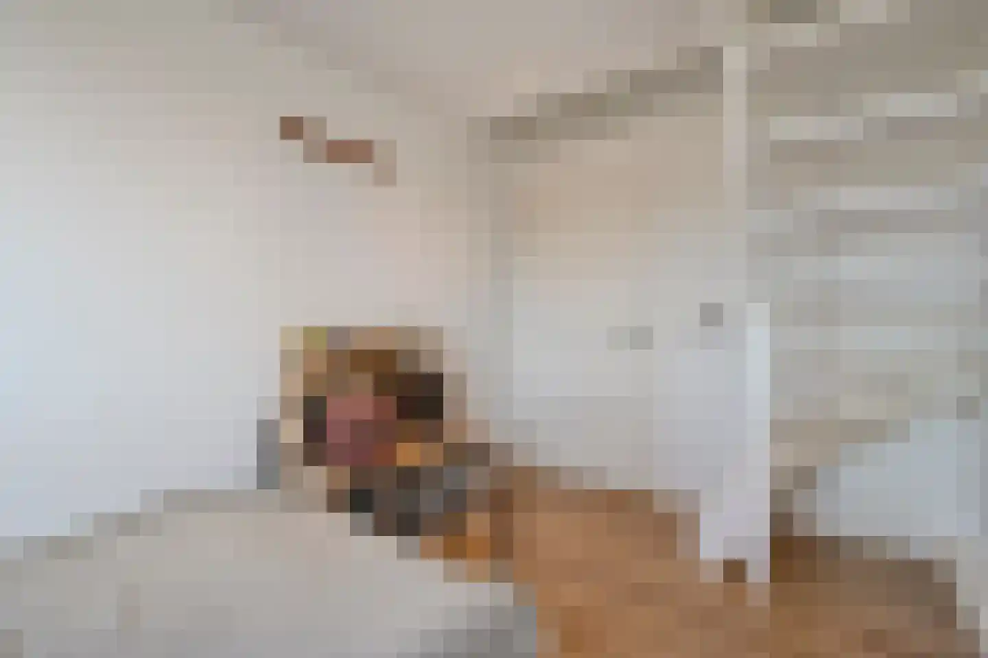 Frankhuizerallee 7 Zwolle thumbnail 30