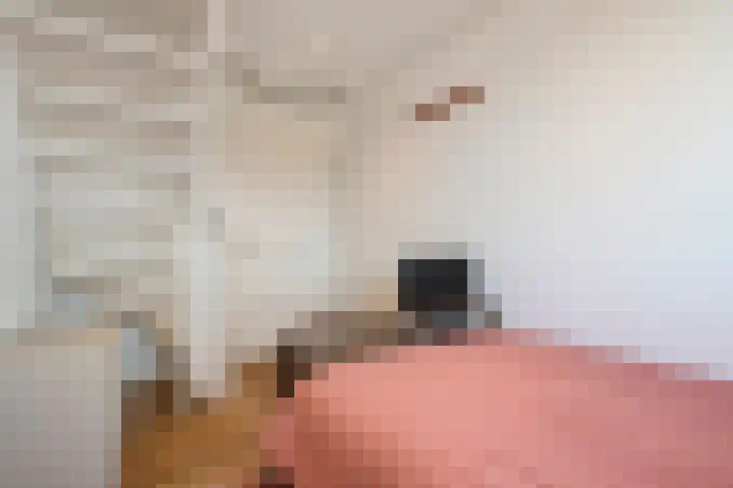 Frankhuizerallee 7 Zwolle thumbnail 32