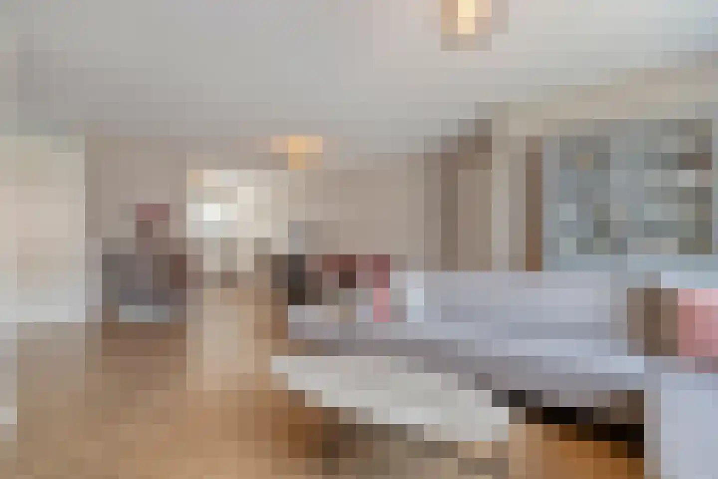 Frankhuizerallee 7 Zwolle thumbnail 9
