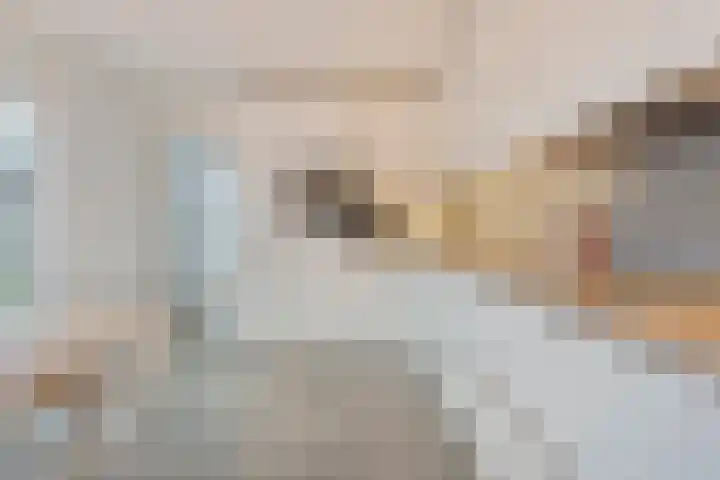 Frankhuizerallee 79 Zwolle thumbnail 10