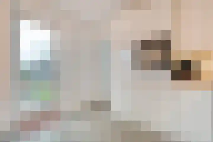 Frankhuizerallee 79 Zwolle thumbnail 12