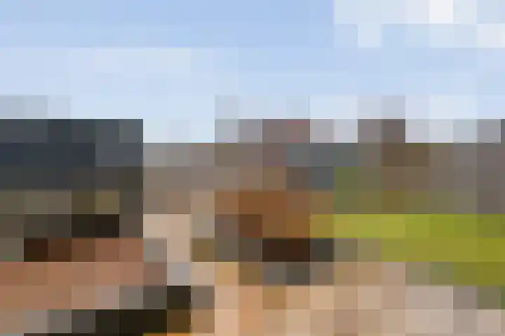 Frankhuizerallee 79 Zwolle thumbnail 18