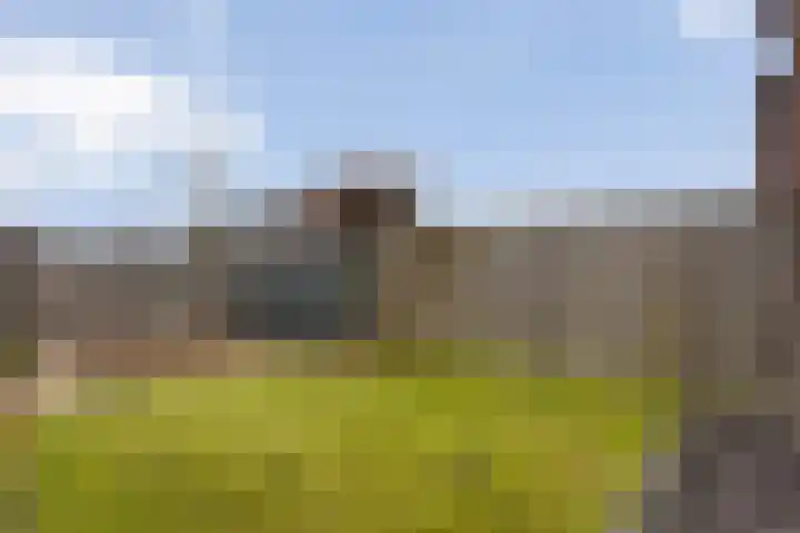 Frankhuizerallee 79 Zwolle thumbnail 19