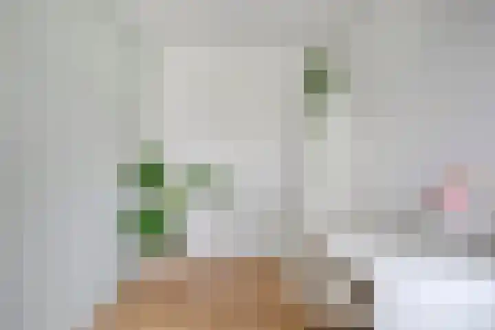 Frankhuizerallee 79 Zwolle thumbnail 32