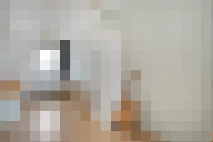 Frankhuizerallee 79 Zwolle thumbnail 33
