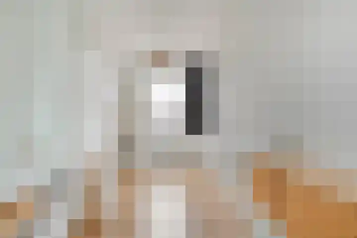 Frankhuizerallee 79 Zwolle thumbnail 34