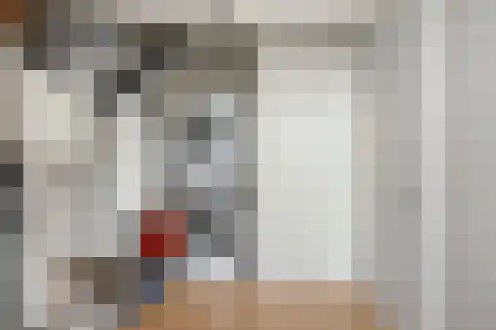 Frankhuizerallee 79 Zwolle thumbnail 46