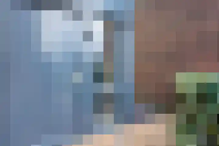 Frankhuizerallee 79 Zwolle thumbnail 47