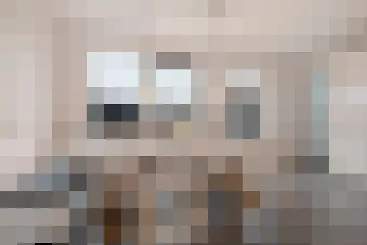 Frankhuizerallee 79 Zwolle thumbnail 7