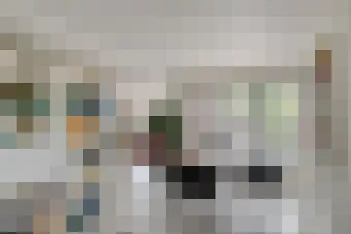 Frankhuizerallee 85 Zwolle thumbnail 12