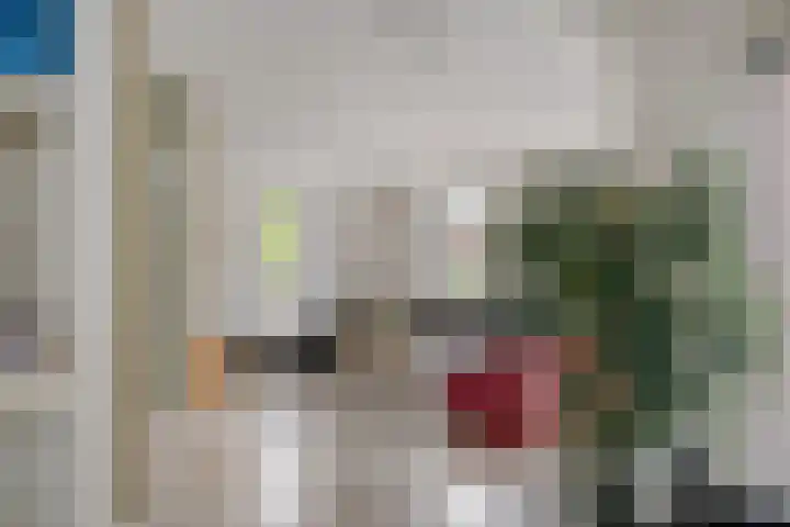 Frankhuizerallee 85 Zwolle thumbnail 13