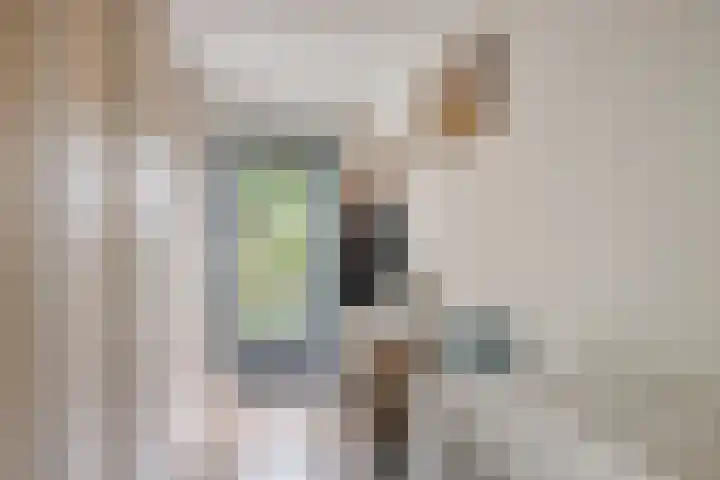 Frankhuizerallee 85 Zwolle thumbnail 16