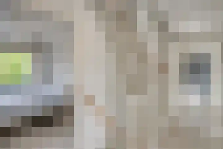 Frankhuizerallee 85 Zwolle thumbnail 17