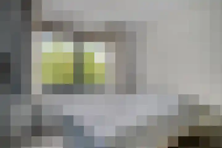 Frankhuizerallee 85 Zwolle thumbnail 18