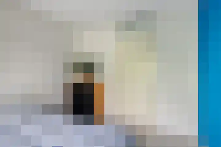 Frankhuizerallee 85 Zwolle thumbnail 19