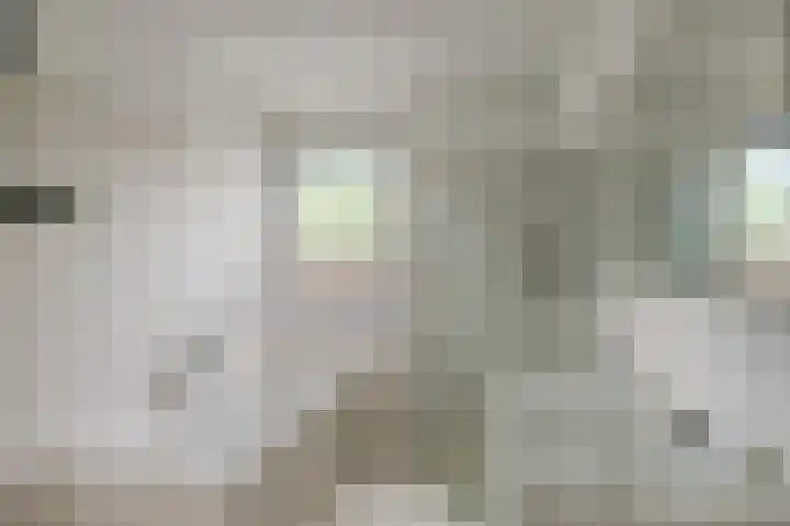 Frankhuizerallee 85 Zwolle thumbnail 20