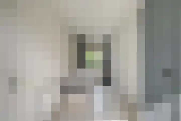 Frankhuizerallee 85 Zwolle thumbnail 25