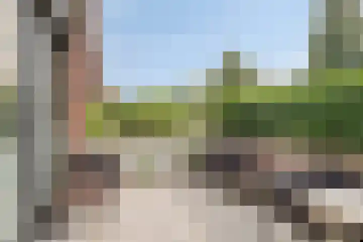Frankhuizerallee 85 Zwolle thumbnail 36